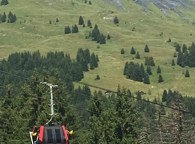 Les Pierres Blanches Mont Blanc Daire *